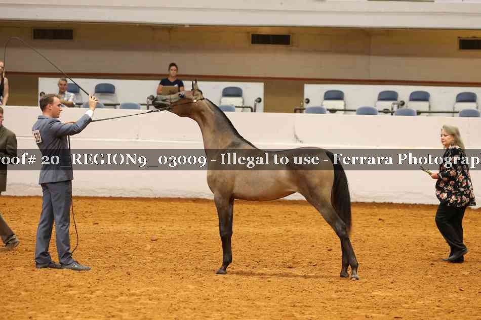 Proof 20_REGION9_03009