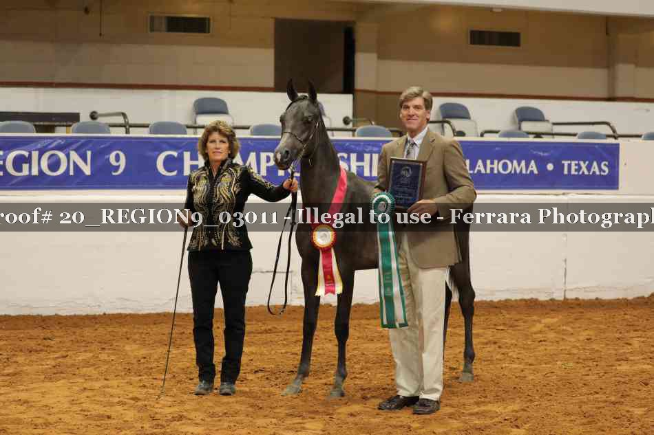 Proof 20_REGION9_03011