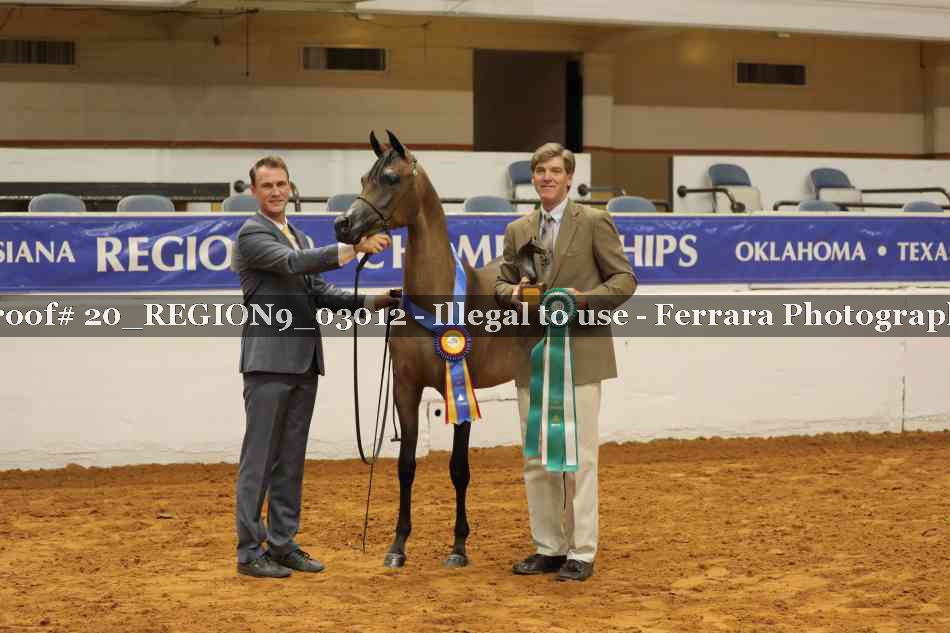 Proof 20_REGION9_03012