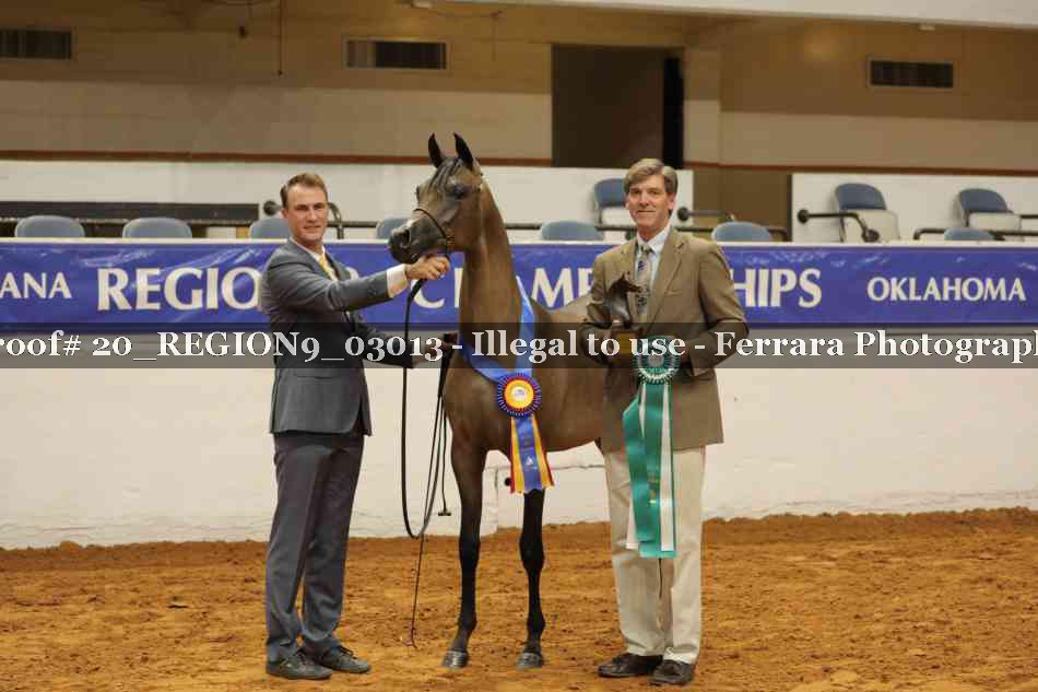 Proof 20_REGION9_03013
