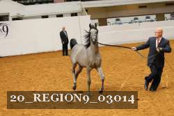 20_REGION9_03014 proof