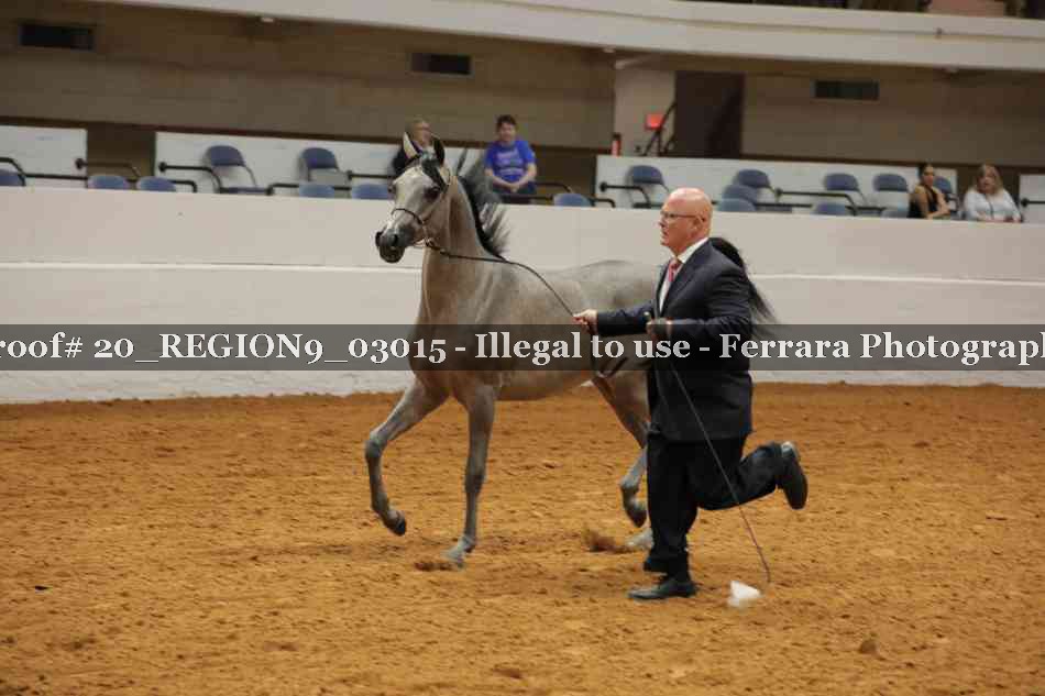 Proof 20_REGION9_03015