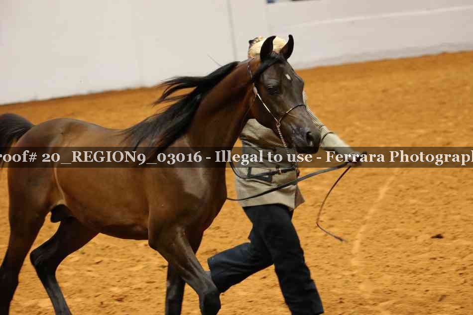 Proof 20_REGION9_03016