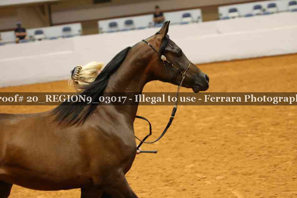 Proof 20_REGION9_03017