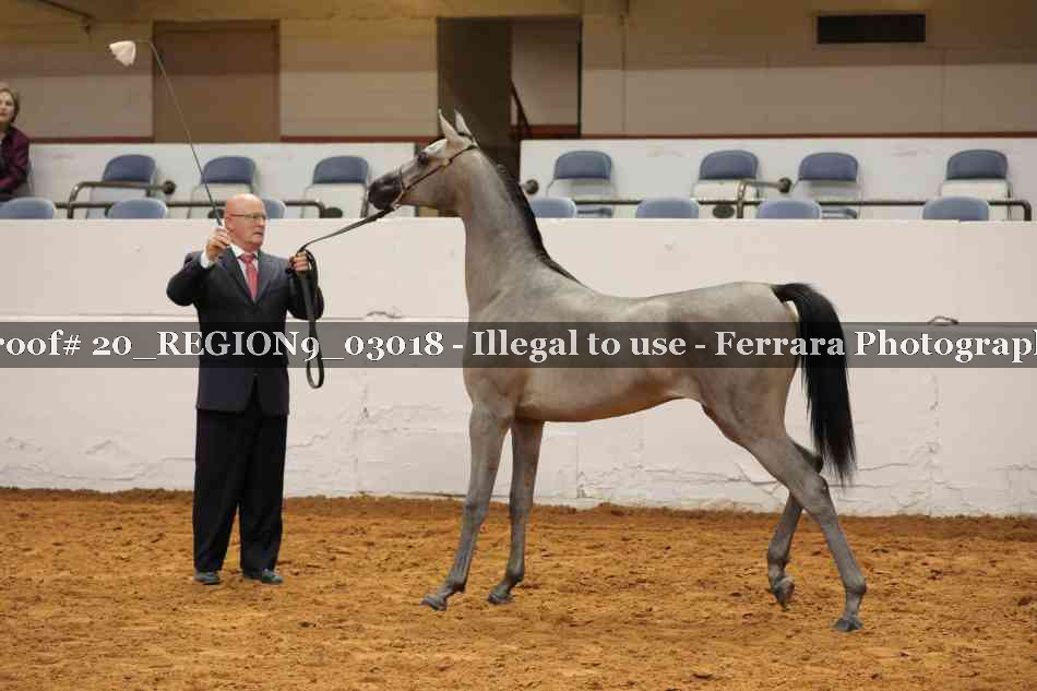 Proof 20_REGION9_03018