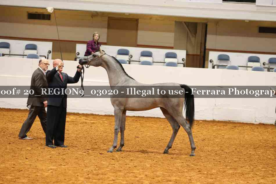 Proof 20_REGION9_03020