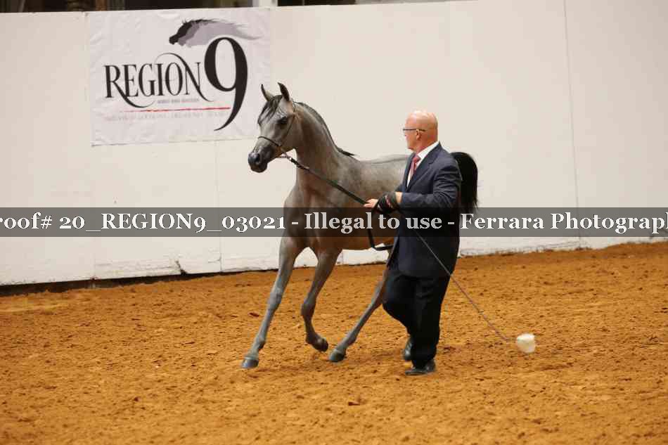 Proof 20_REGION9_03021