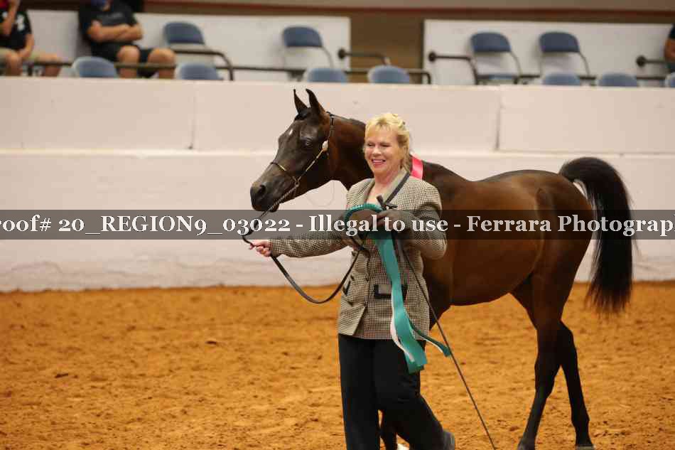 Proof 20_REGION9_03022