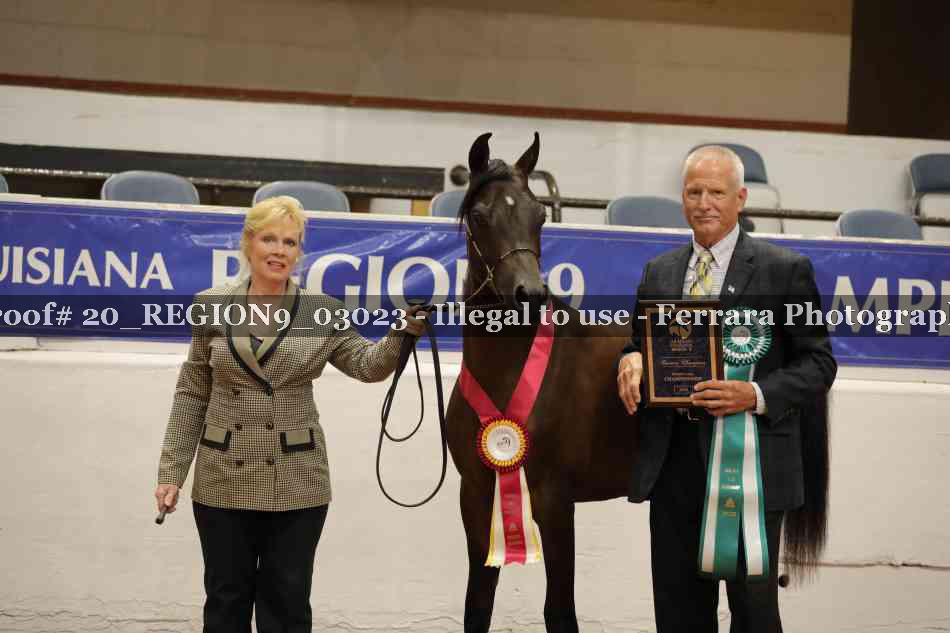 Proof 20_REGION9_03023