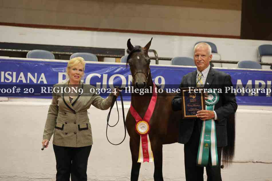 Proof 20_REGION9_03024