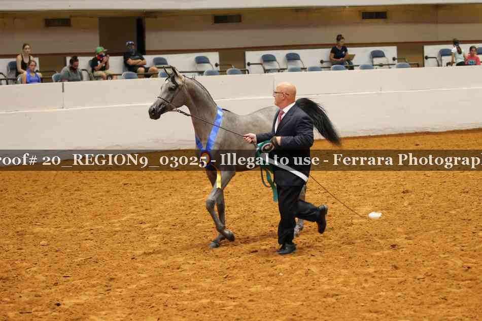 Proof 20_REGION9_03025