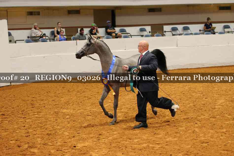 Proof 20_REGION9_03026