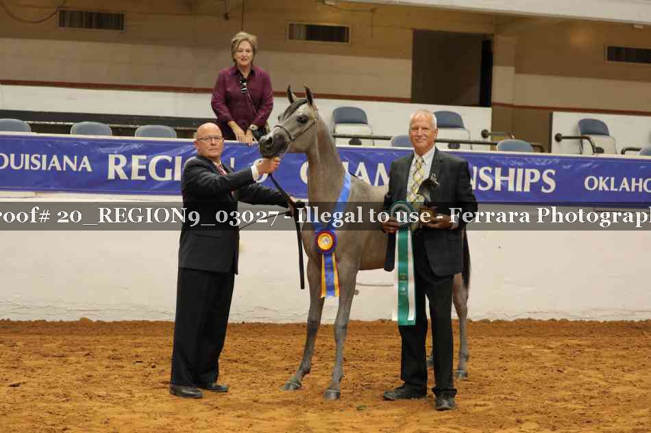 Proof 20_REGION9_03027