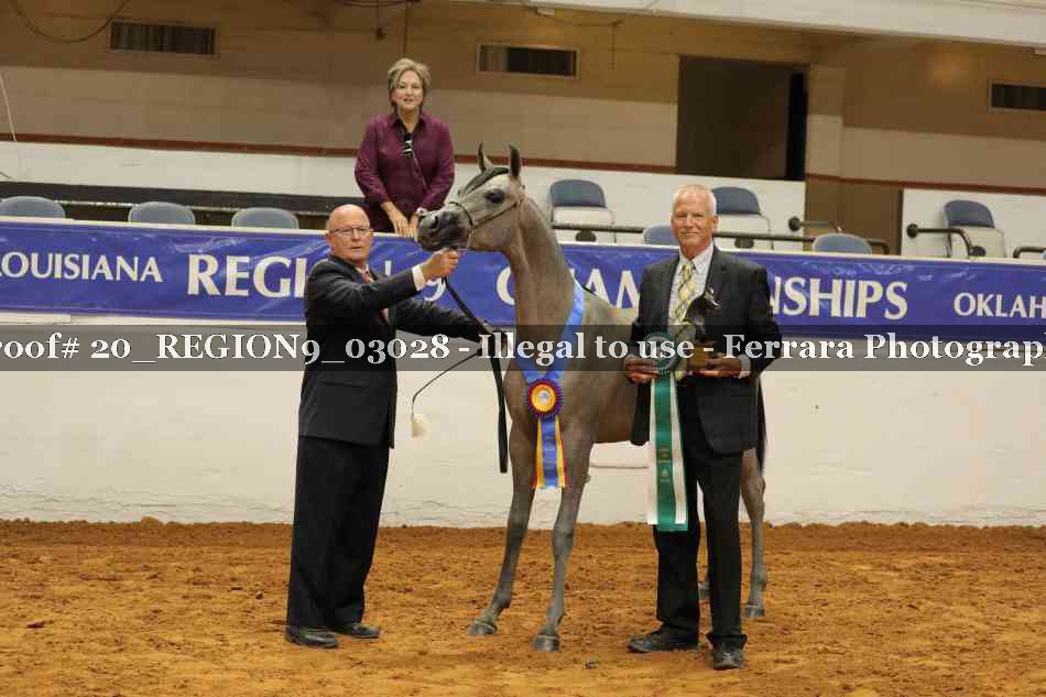 Proof 20_REGION9_03028