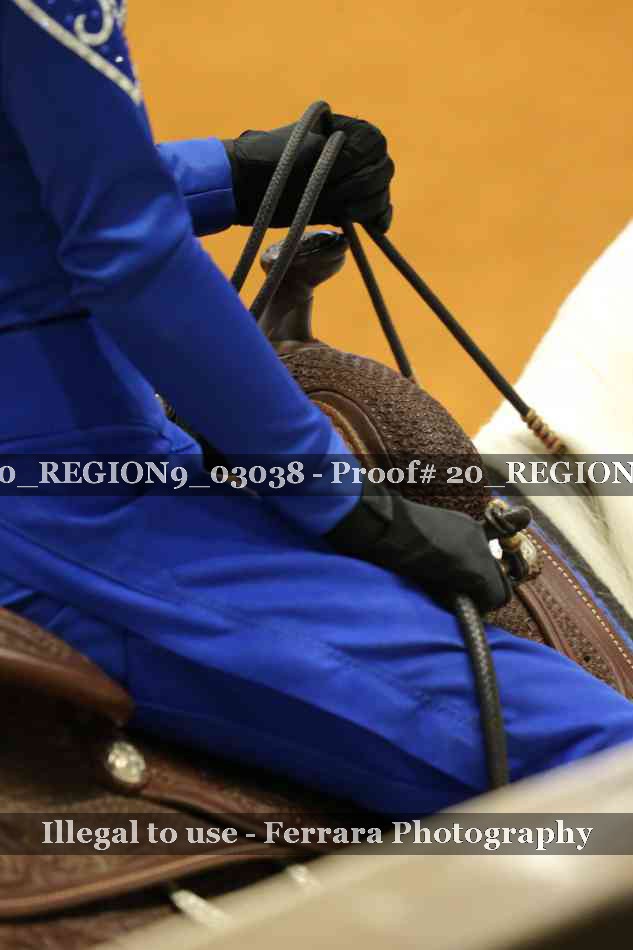 Proof 20_REGION9_03038