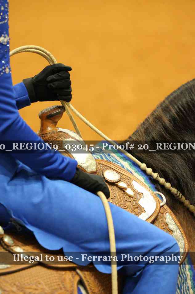 Proof 20_REGION9_03045