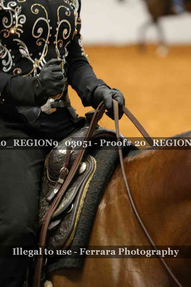 Proof 20_REGION9_03051