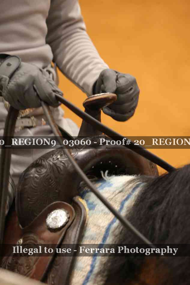 Proof 20_REGION9_03060