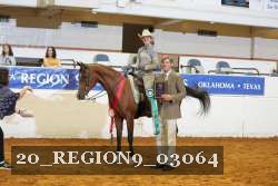 20_REGION9_03064 proof