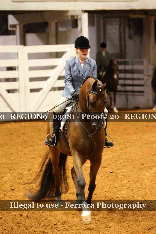 Proof 20_REGION9_03081