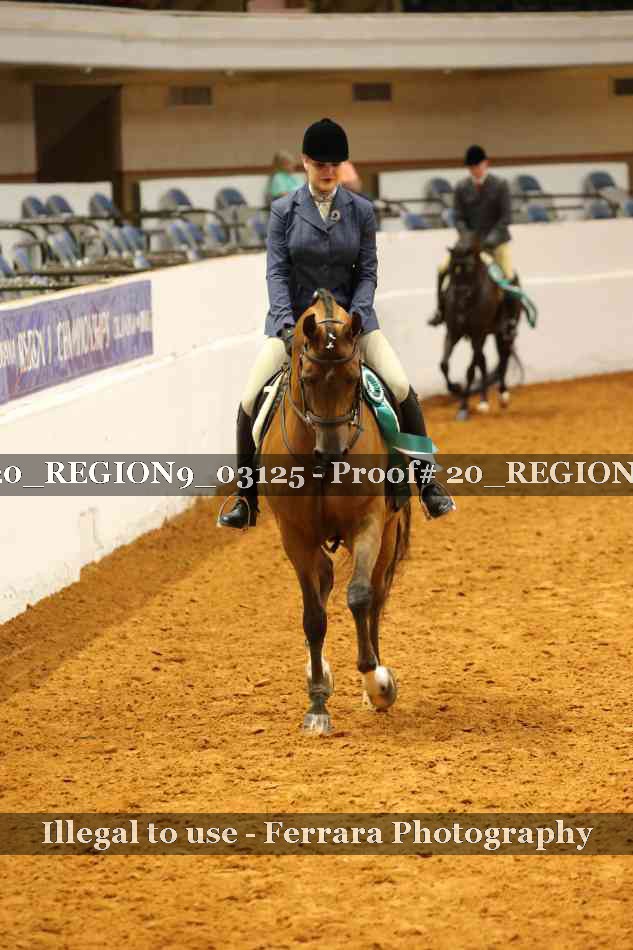 Proof 20_REGION9_03125