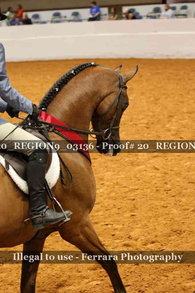 Proof 20_REGION9_03136