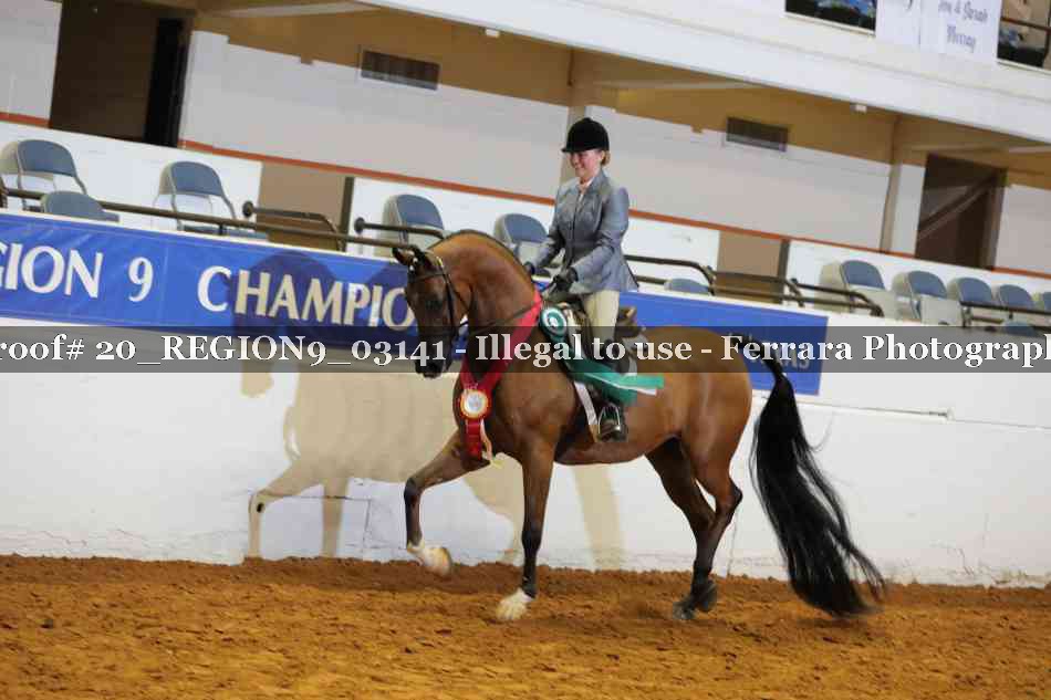 Proof 20_REGION9_03141