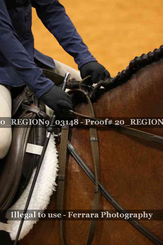 Proof 20_REGION9_03148