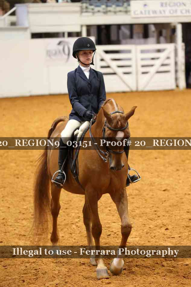 Proof 20_REGION9_03151