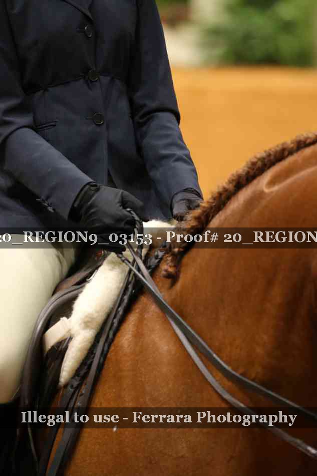 Proof 20_REGION9_03153