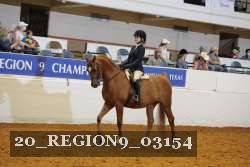 20_REGION9_03154 proof