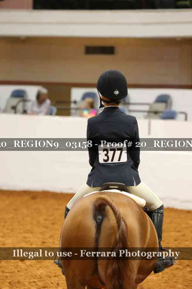 Proof 20_REGION9_03158