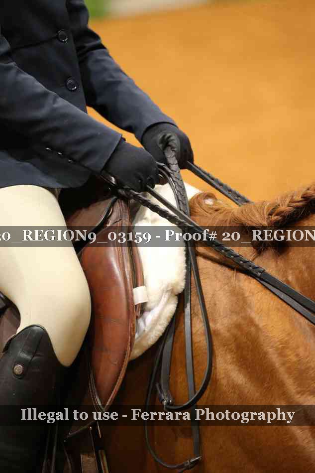 Proof 20_REGION9_03159
