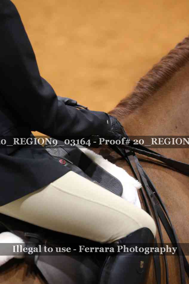 Proof 20_REGION9_03164