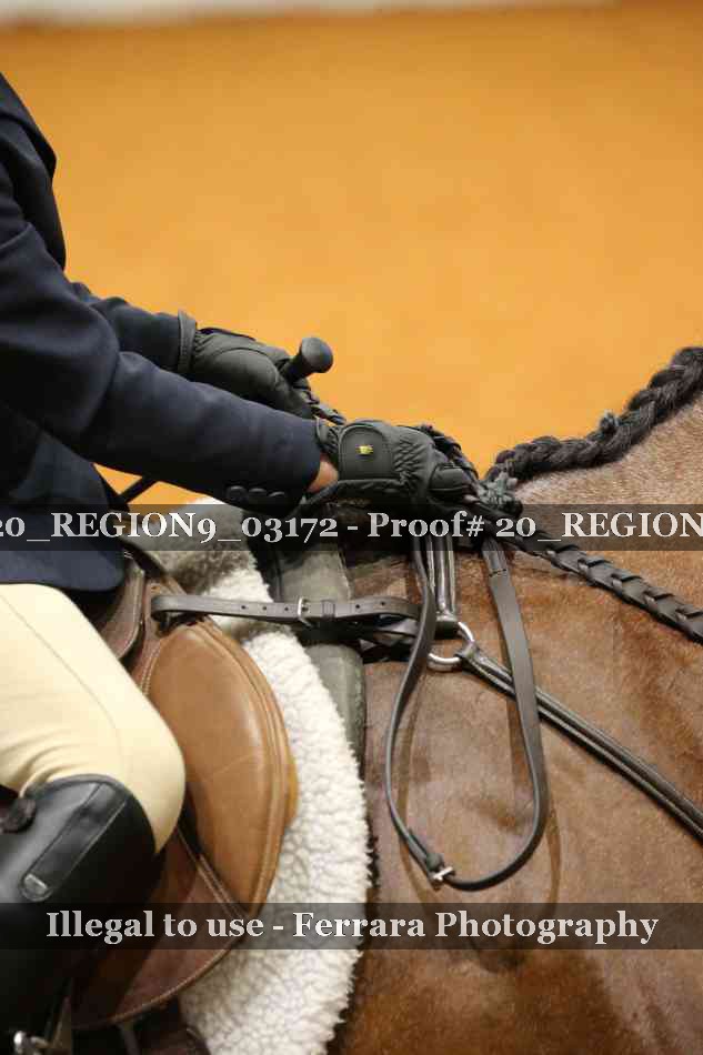 Proof 20_REGION9_03172