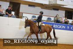 20_REGION9_03184 proof