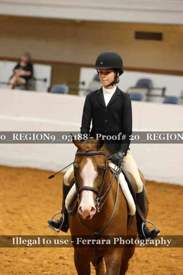 Proof 20_REGION9_03188