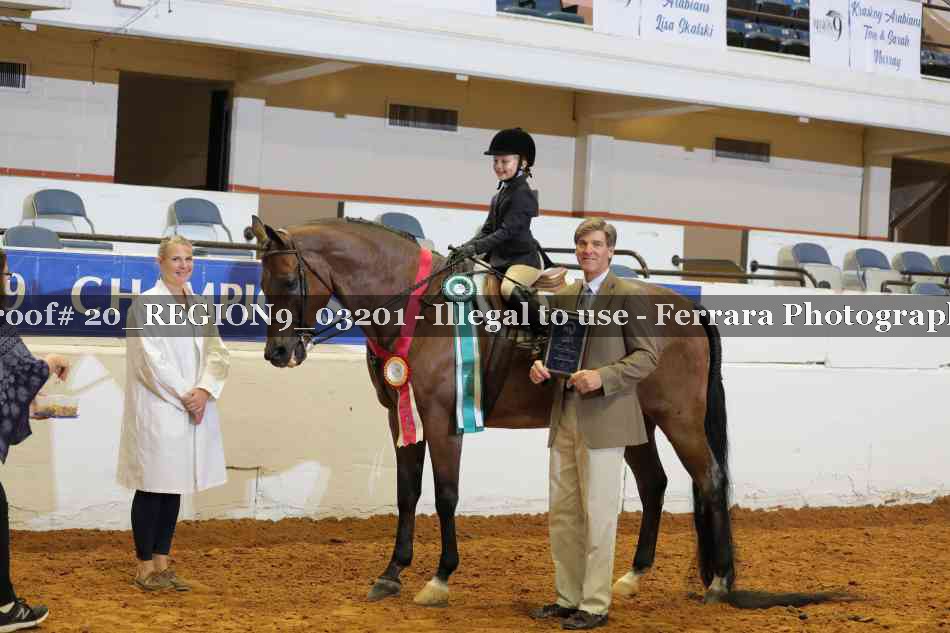 Proof 20_REGION9_03201