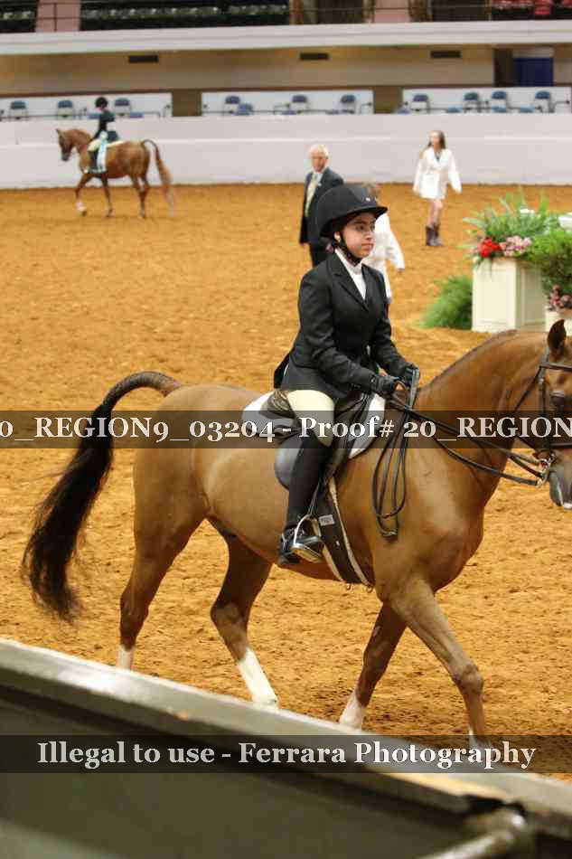 Proof 20_REGION9_03204