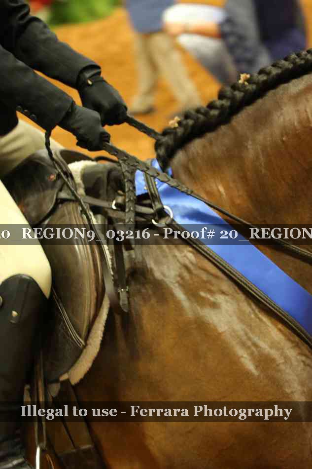 Proof 20_REGION9_03216