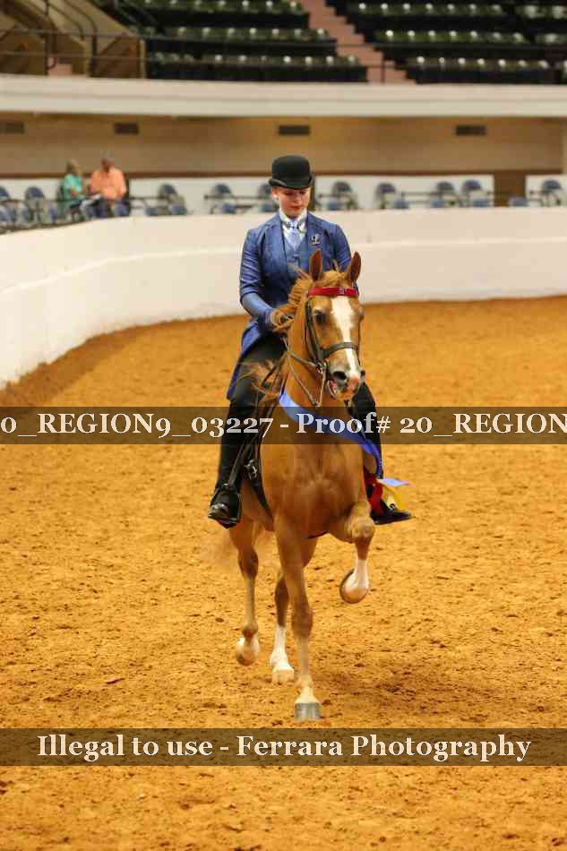 Proof 20_REGION9_03227