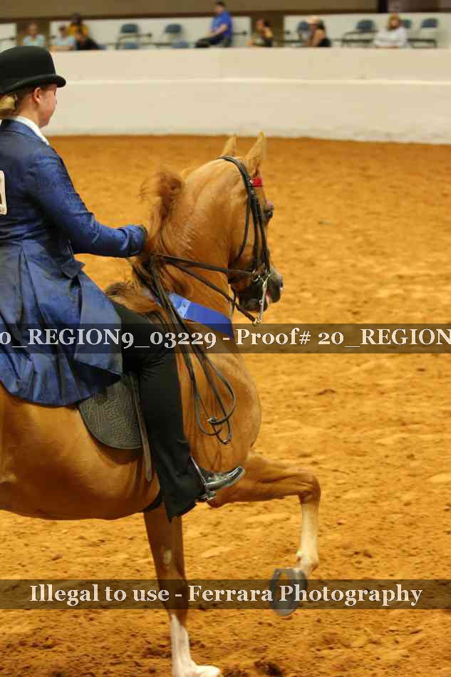 Proof 20_REGION9_03229
