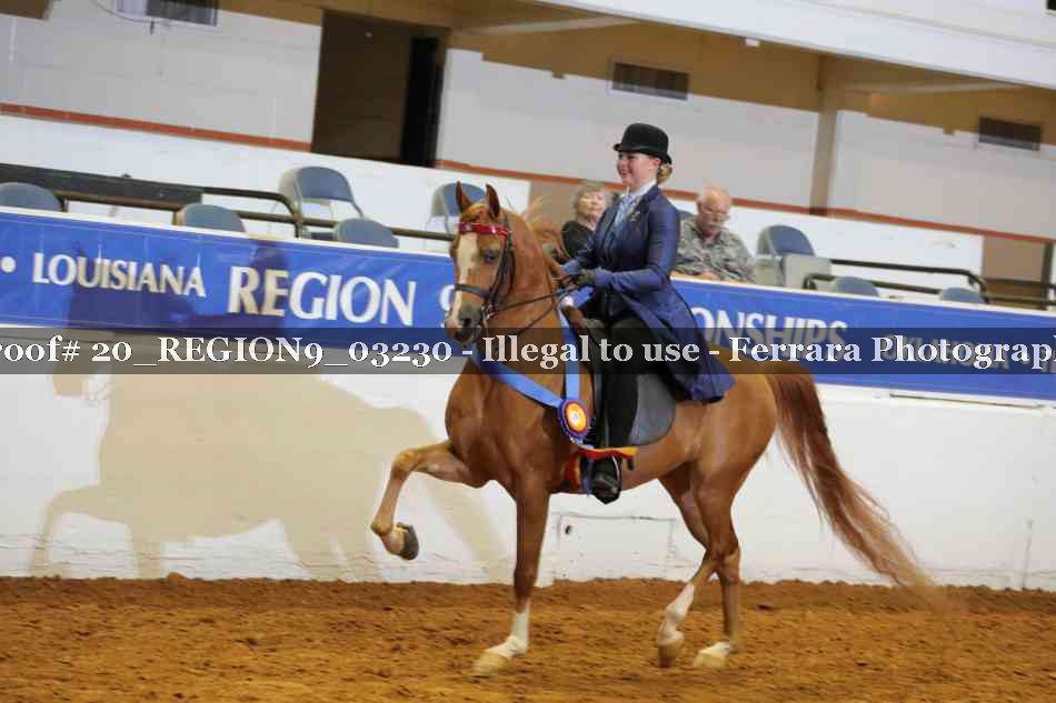 Proof 20_REGION9_03230