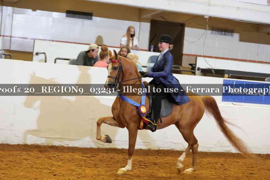 Proof 20_REGION9_03231