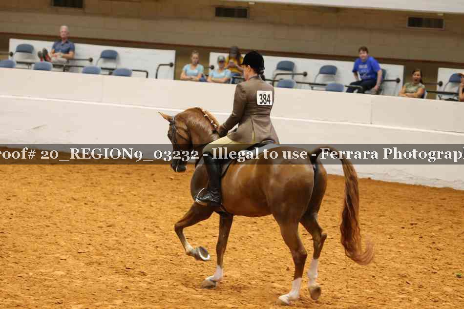 Proof 20_REGION9_03232