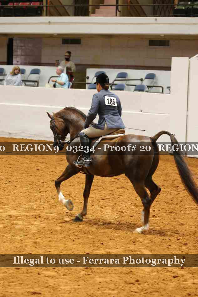 Proof 20_REGION9_03234