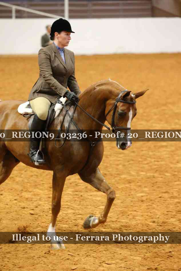 Proof 20_REGION9_03236