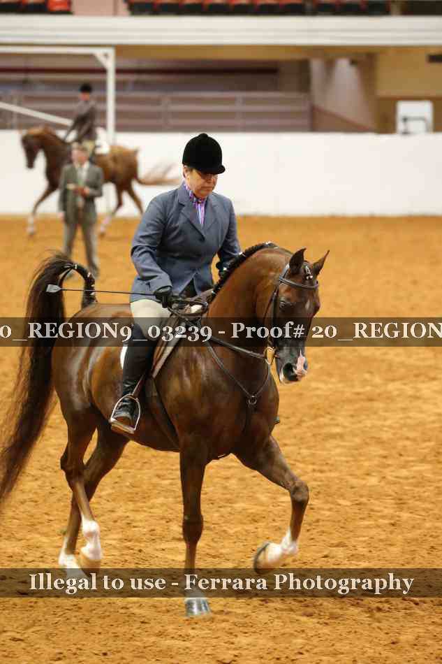 Proof 20_REGION9_03239