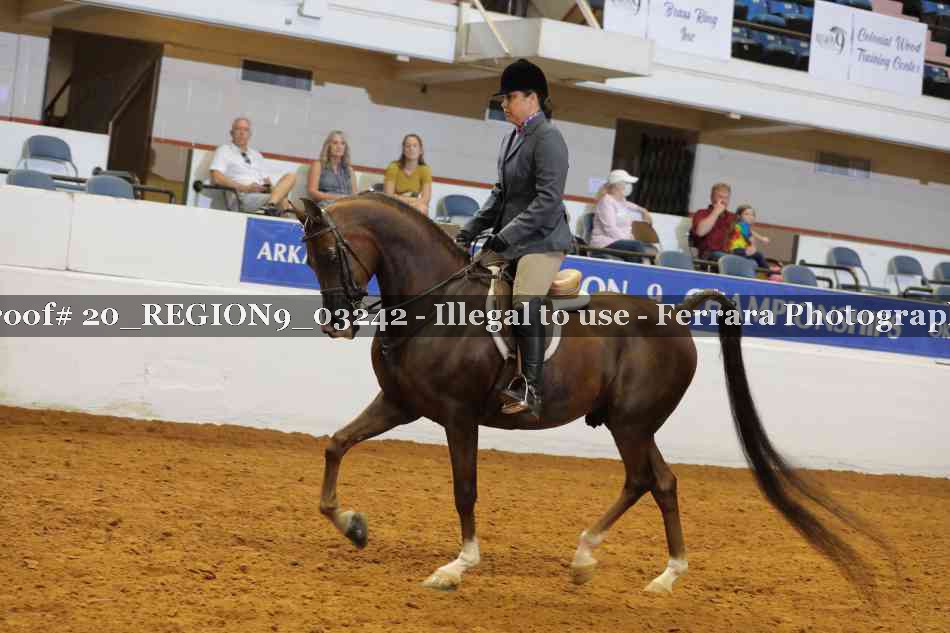 Proof 20_REGION9_03242