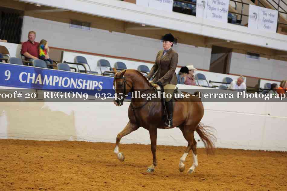 Proof 20_REGION9_03245